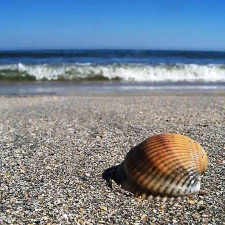 Blumarina Summerland Sea View *